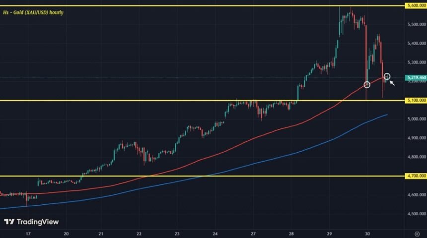 Gold Volatility Persists After Profit-Taking Dip in Late January