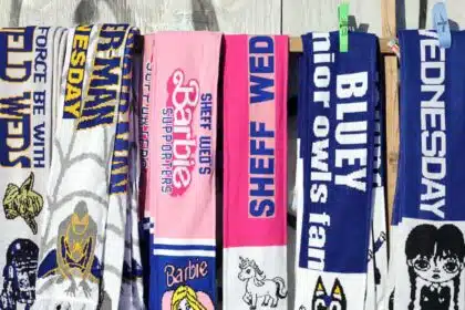 Sheffield Wednesday Takeover Stalls Amid EFL Funding Probe