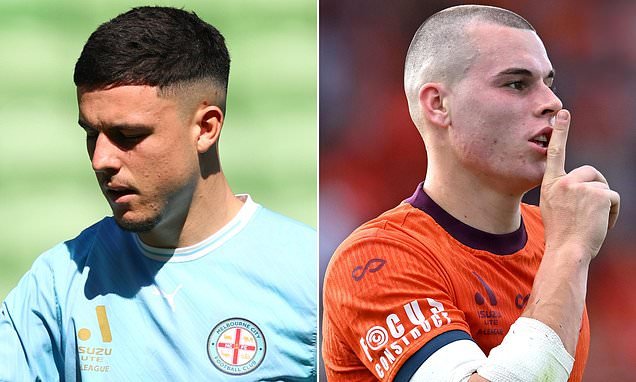 A-League Star Medin Memeti Cleared in On-Field Racism Probe