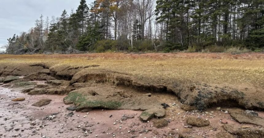 P.E.I. Unveils Shoreline Protection Initiative Near Charlottetown Hospital P.E.I. Unveils Shoreline Protection Initiative Near Charlottetown Hospital