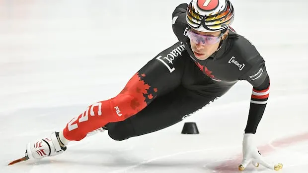 Daily Winter Olympics Guide: Key Schedules and Medal Updates