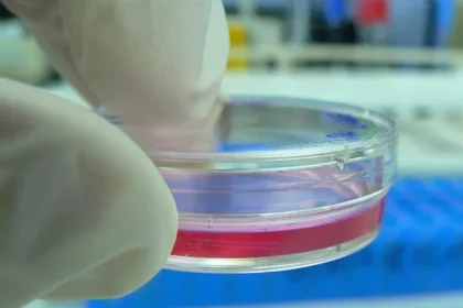 Researchers Secure .8M to Bioprint Personalized Kidney Tissues