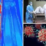 Nipah Virus Kills Woman in Bangladesh: Travel Alerts Issued