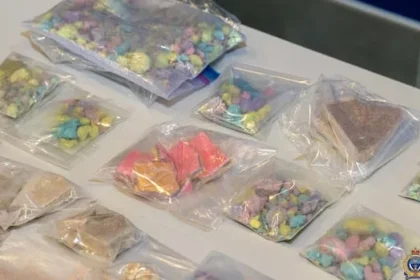 Sask.-Man. Police Sting Seizes 0K in Meth, Fentanyl, Cash