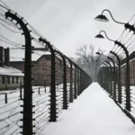 Canadian Army Apologizes for Holocaust Post Omitting Jews
