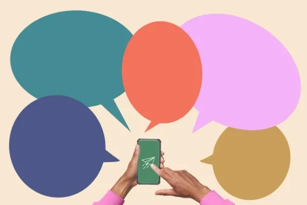 Bandwidth Eyes 2026 Growth Surge and Rebound Rally