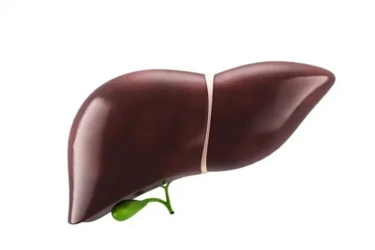 3D Liver Reconstructions Reveal Cirrhosis’ Impact on Organ Structure
