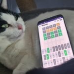 Wordle Hint and Answer #1688: February 1, 2026 Solution