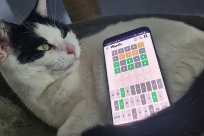 Wordle Hint and Answer #1688: February 1, 2026 Solution