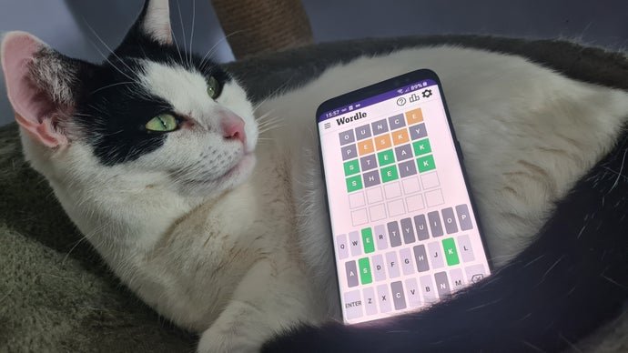 Wordle Hint and Answer #1688: February 1, 2026 Solution