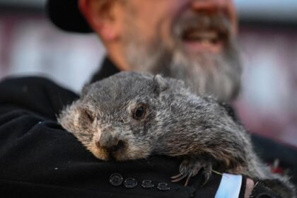 Groundhog Day 2026: Punxsutawney Phil Forecasts Extended Winter
