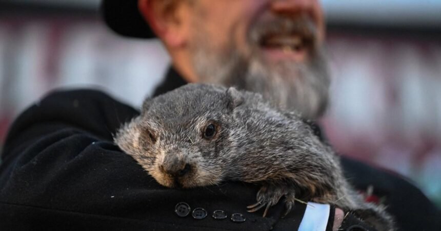 Groundhog Day 2026: Punxsutawney Phil Forecasts Extended Winter