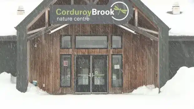 Grand Falls-Windsor Orders Audit of Corduroy Brook Nature Centre Funding Grand Falls-Windsor Orders Audit of Corduroy Brook Nature Centre Funding
