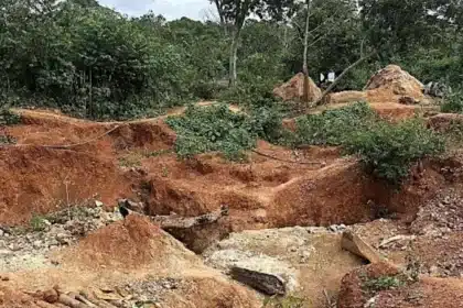 Dalaroo Metals Uncovers 2km Gold Corridor in Côte d’Ivoire