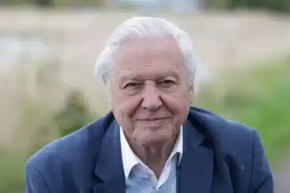 Farne Islands: Attenborough’s Favourite UK Wildlife Haven