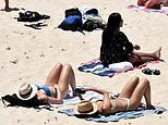 Public Backlash to Paid Parking Proposal at Sydney Beaches