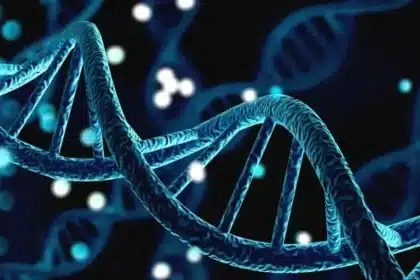 AI and Genetics Unveil Human Language Development Secrets