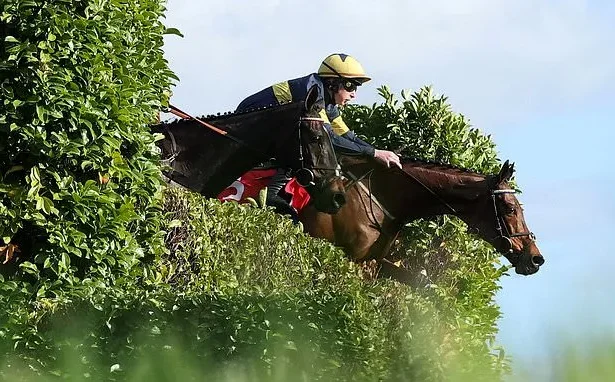 Cheltenham Day 3 Live: Tips & Updates as Sixmilebridge Scratched