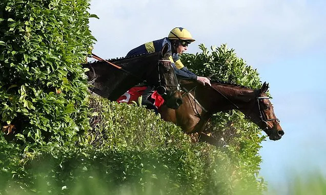 Cheltenham Day 3 Live: Tips & Updates as Sixmilebridge Scratched