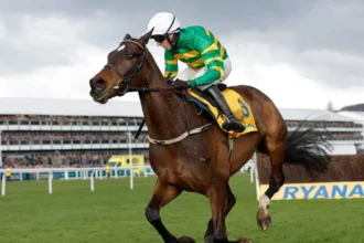 Fact To File Withdrawn from Ryanair Chase at Cheltenham Festival