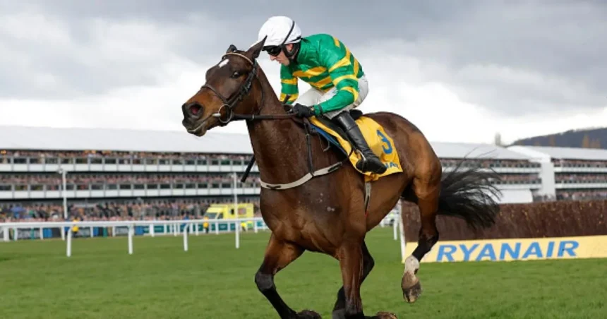 Fact To File Withdrawn from Ryanair Chase at Cheltenham Festival