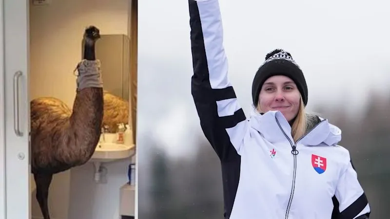 Slovak Skier Steals Emu Mascot, Wins Three Paralympic Bronzes