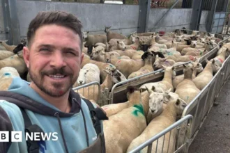 Unlimited Fines for Dog Owners After Livestock Attacks in New Law