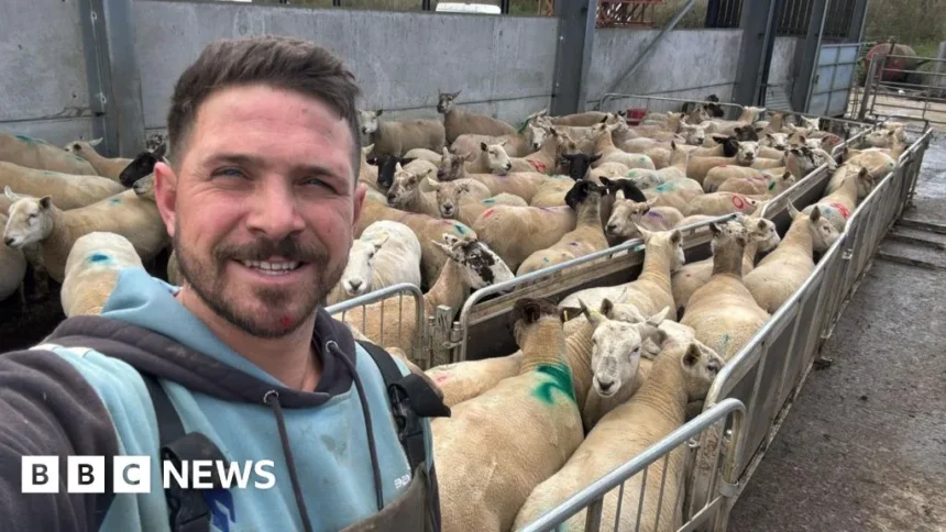 Unlimited Fines for Dog Owners After Livestock Attacks in New Law