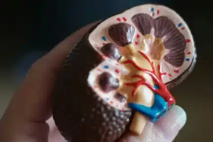 Kidney Surgeon: Early Checks Vital as Dialysis Demand Surges 86%