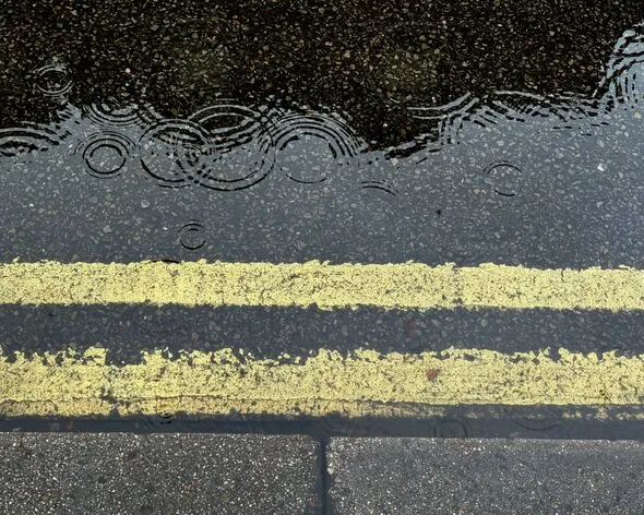 Single vs Double Yellow Lines: UK Drivers’ Key Distinction Single vs Double Yellow Lines: UK Drivers’ Key Distinction