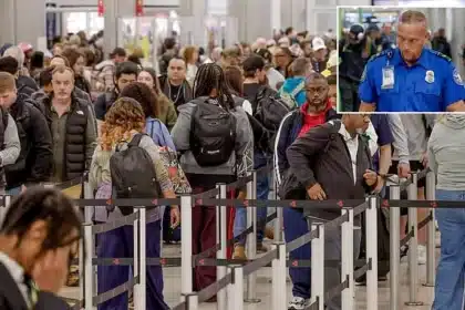 Atlanta Airport Chaos: 2-Hour TSA Lines Grip Busiest Hub Amid Shutdown