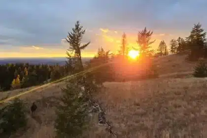 B.C. Court Halts Record Ridge Mine Construction with Injunction