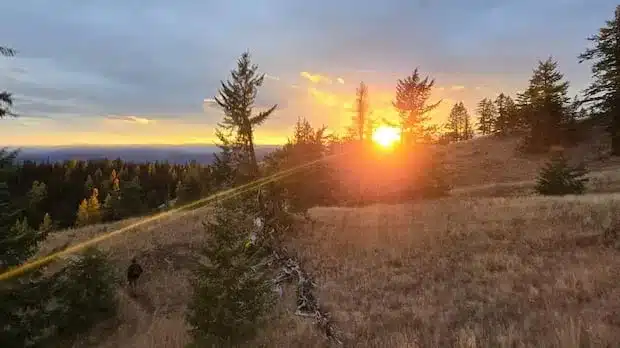 B.C. Court Halts Record Ridge Mine Construction with Injunction