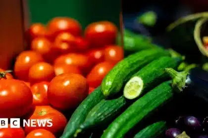 UK Food Prices to Rise Amid Middle East Conflict Disruptions