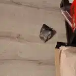 Meteorite Crashes Through Texas Woman’s Roof After Houston Boom