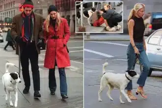 JFK Jr. and Carolyn Bessette’s Dog Friday: Heartbreaking Final Years