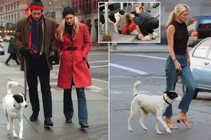 JFK Jr. and Carolyn Bessette’s Dog Friday: Heartbreaking Final Years