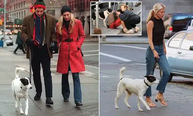 JFK Jr. and Carolyn Bessette’s Dog Friday: Heartbreaking Final Years