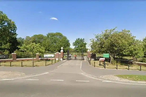 Elderly Woman Rushed to Hospital After Attempted Rape in Sheffield Park