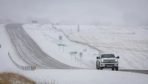 Alberta Wintry Storm: Up to 20cm Snow Hits Northern Areas