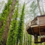 Two High-Yield Gems Boosting Retirement Income Streams