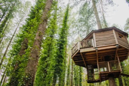 Two High-Yield Gems Boosting Retirement Income Streams