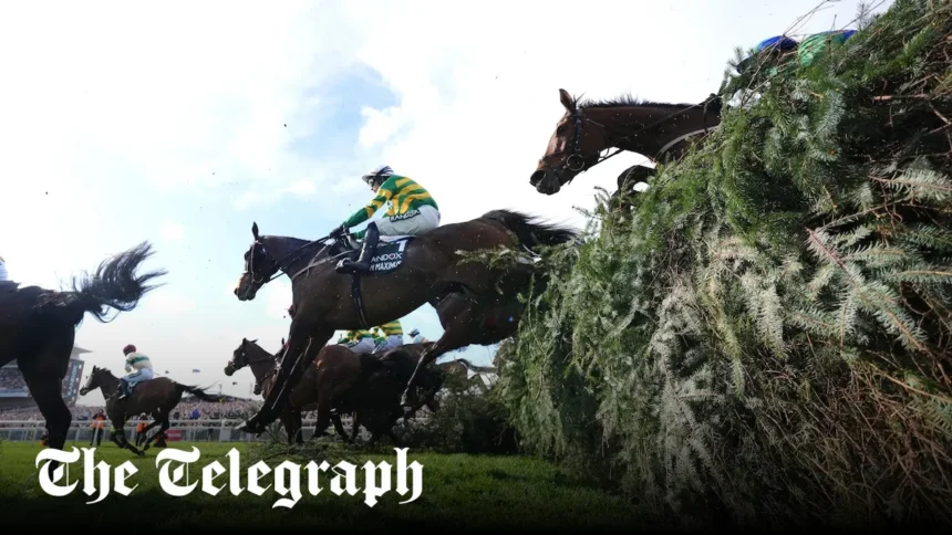 I Am Maximus Wins 178th Grand National 2026: Full Results I Am Maximus Wins 178th Grand National 2026: Full Results