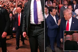 Trump Attends UFC 327 with Ivanka, Rubio Amid Iran Peace Talks