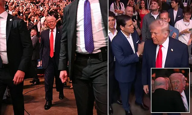 Trump Attends UFC 327 with Ivanka, Rubio Amid Iran Peace Talks