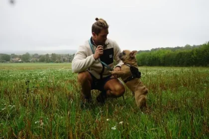 Carpenter Quits Job as Viral French Bulldog TJ Out-Earns Him