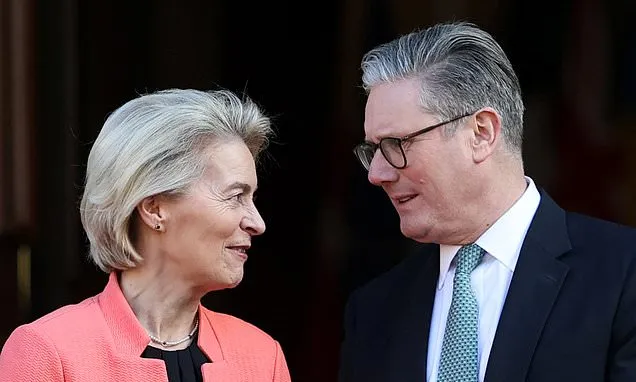 Labour Plan to Align with EU Rules Without MP Vote Sparks Outrage