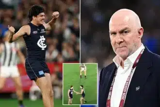 Carlton CEO Addresses Elijah Hollands’ Erratic Behavior Amid Rumors