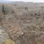 Expanded Evacuation Alert Hits Old Fort, BC After Landslide