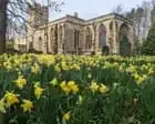 Churchyard’s Quiet Vitality: Wildlife Thrives in Restored Haven